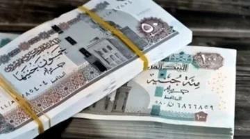 موعد مهم.. صرف المرتبات يناير 2026 للوزارات والهيئات الحكومية